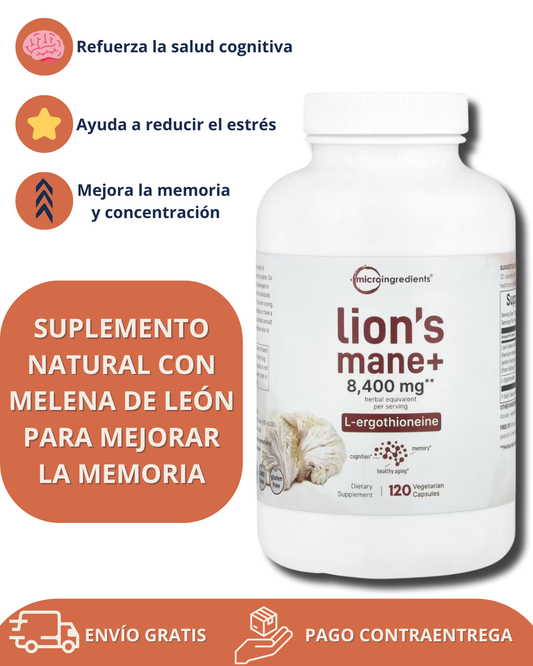 FocusMush™ | Concentración Imparable